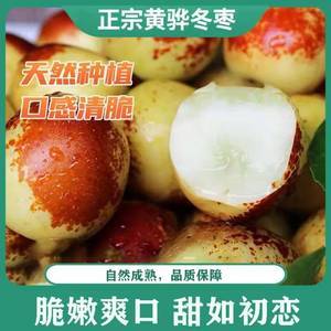 河北黃驊脆冬棗 自然的饋贈與美食的極致